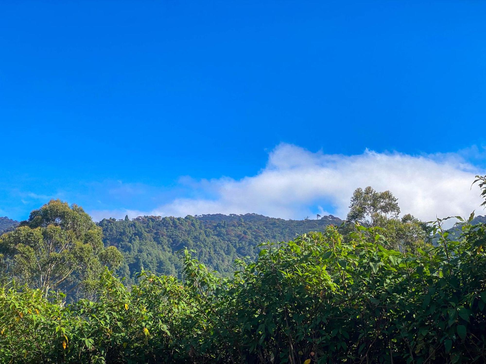 Barrow Family * Nuwara Eliya